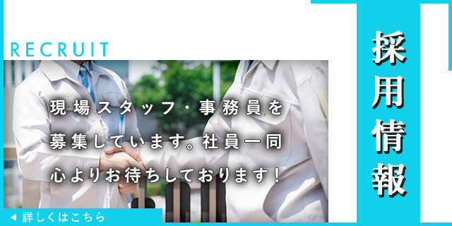採用情報
